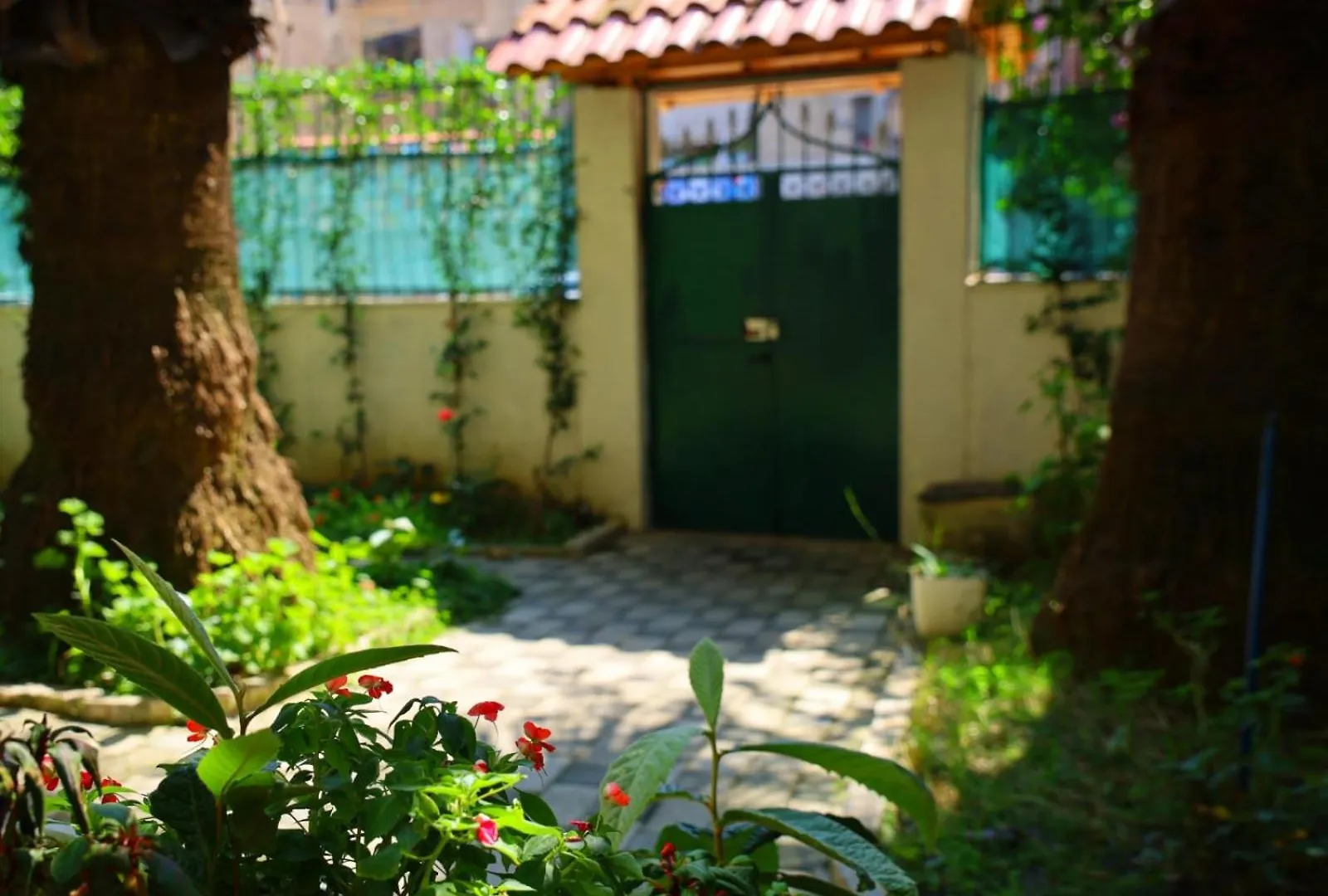 Angelx Apartments Tirana
