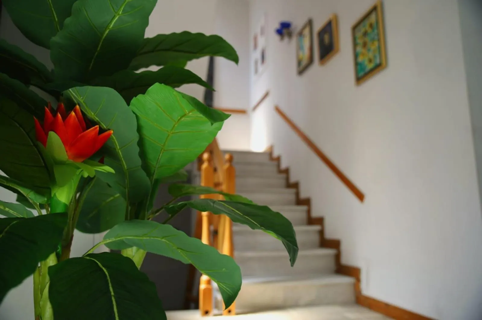 Angelx Apartments Тирана